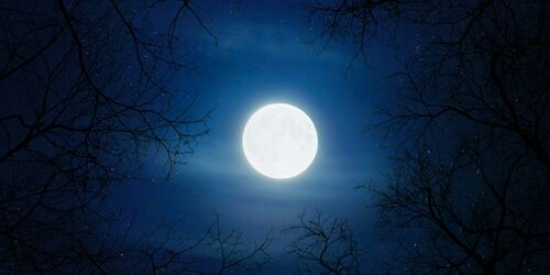 fullmoon-aron-visuals-2x1.jpg