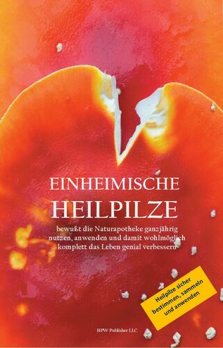 Buchcover 2024-05-27.jpg