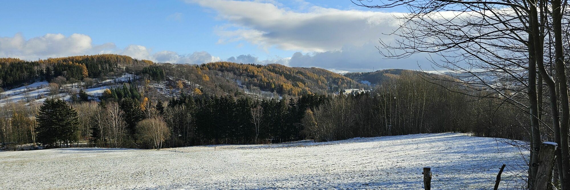 Winterlandschaft Geising