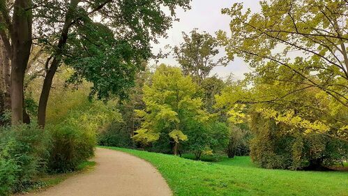 Walking-Qi-Gong Dresden Kaufhold