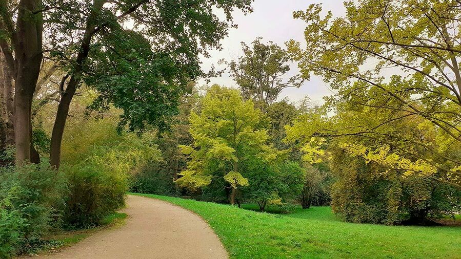 Walking-Qi-Gong Dresden Kaufhold